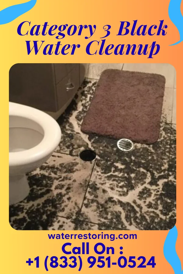 Category 3 Black Water Cleanup in Glendon, PA