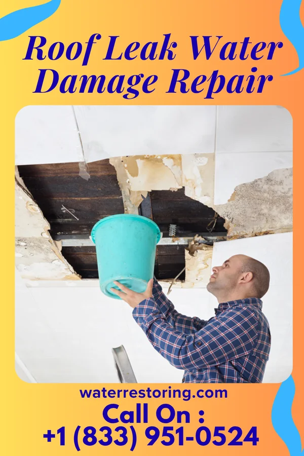 Roof Leak Water Damage Repair in Glendon, PA