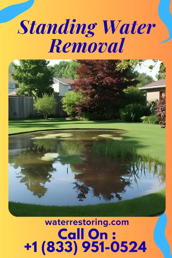 Standing Water Removal in Glendon, PA